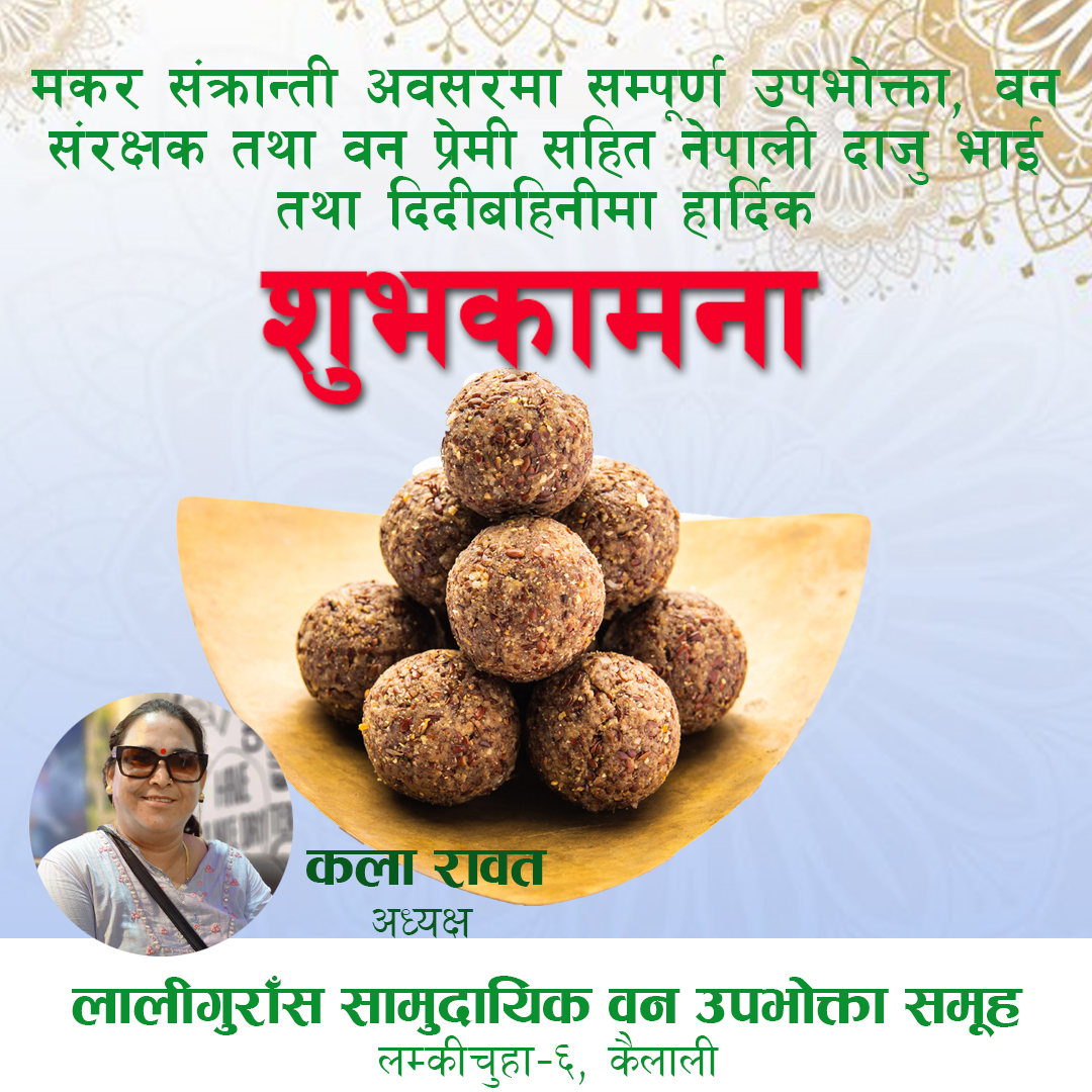 प्रायोजित विज्ञापन